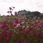 Holiday home Duxcaar Beaum- By Interhome